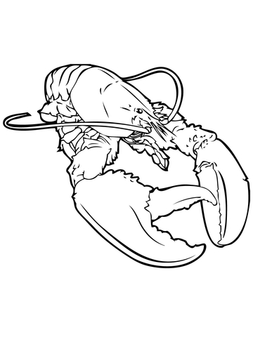 Realistic Lobster Coloring Page